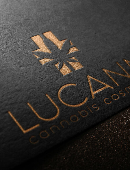 Logo Lucann
